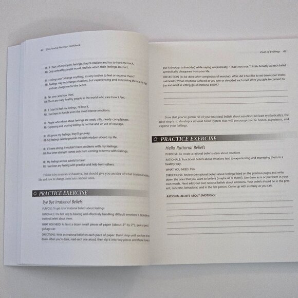 BOOK: Food and Feelings Workbook: A Full Course Meal on Emotional Health - NEW - Picture 5 of 5